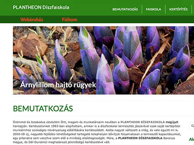 Díszfa